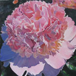 Big rose peon. 2014. Canvas, acryl. 90*100 sm